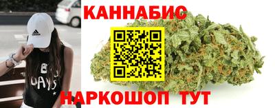 шишки Тара