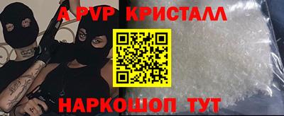 шишки Тара