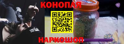 шишки Тара