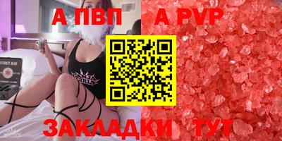 шишки Тара