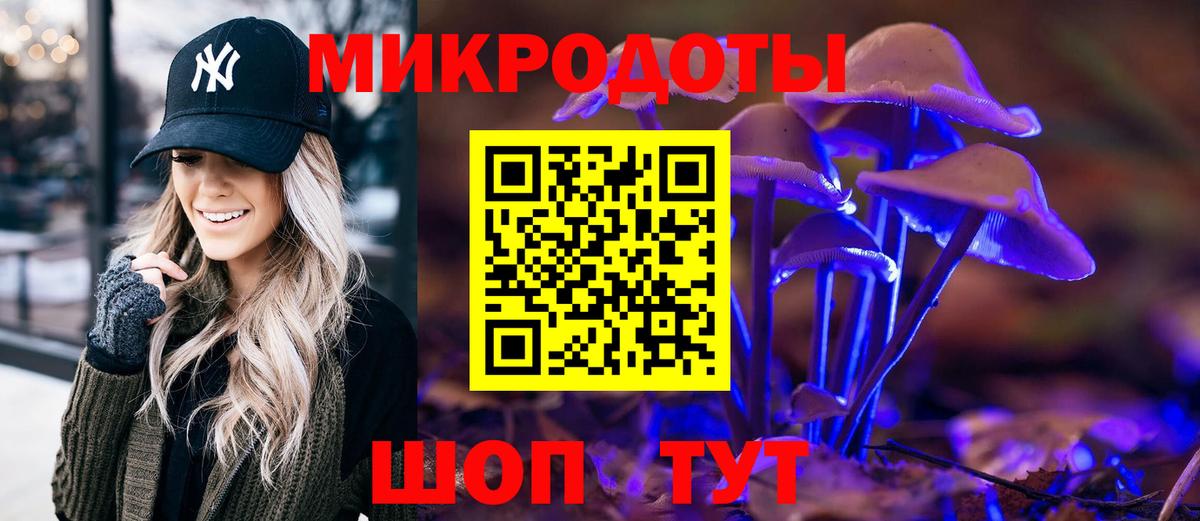 Печора  купить  цена  Вход с VPN  Галлюциногенные грибы Psilocybe 